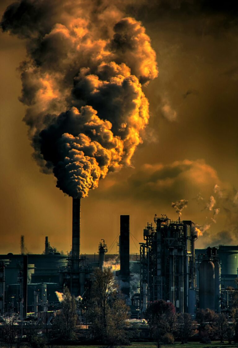 Global Warming and Heat Waves: The Impact on India and Measures Needed